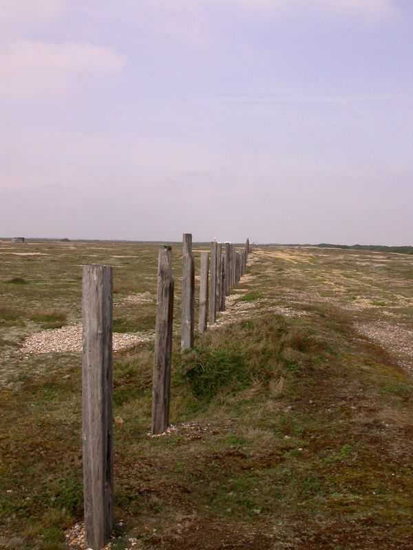 DSCN2050.JPG - The ghost of a long-dead fence?