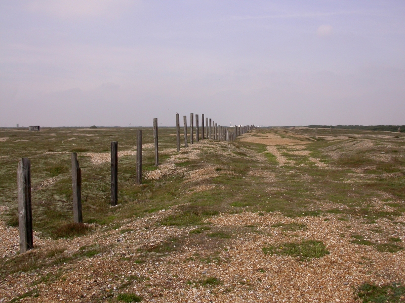 DSCN2052.JPG - The ghost of a long dead fence?