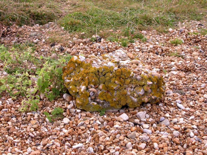 DSCN2055.JPG - The place is strewn with rough old concrete and ruined structures, probably dating from wartime.