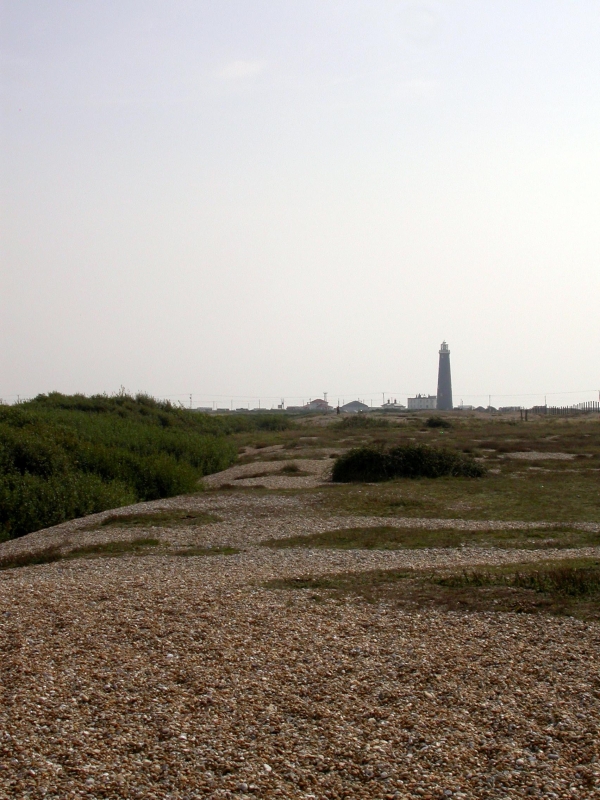 DSCN2074.JPG - The dungoness shingle sea with the lighthouse in the distance.