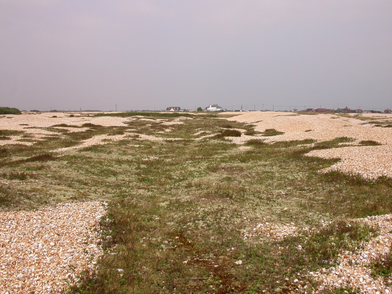DSCN2094.JPG - The expanse opens out to where the distant houses encroach on this desert.