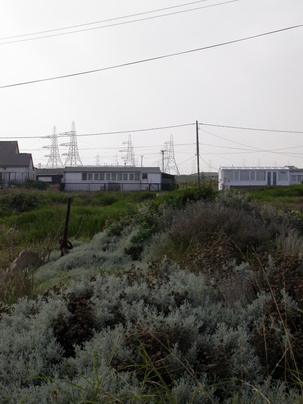 DSCN2170.JPG - Houses and pylons.