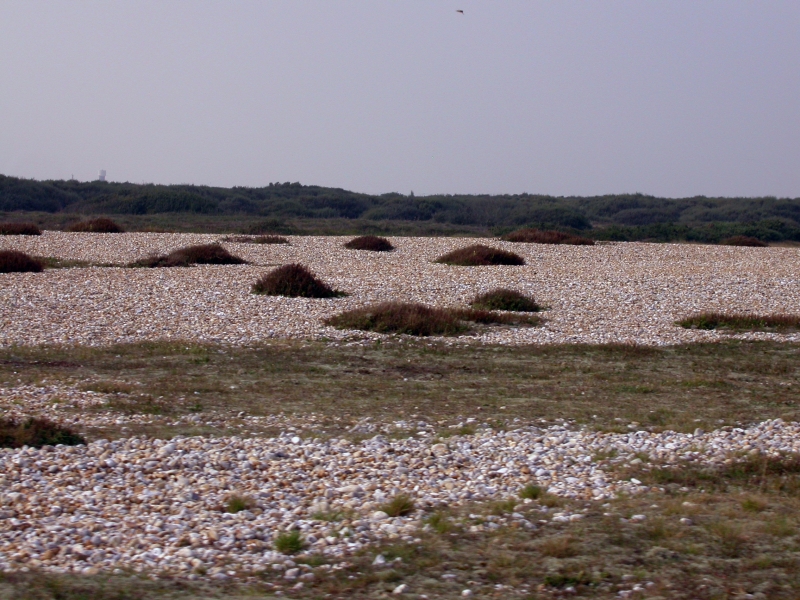 DSCN2193.JPG - The first signs of the strange landscape of Dungoness