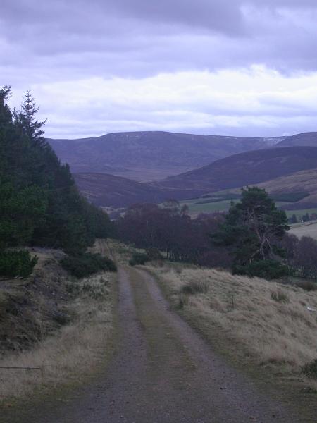 DSCN3156.JPG
