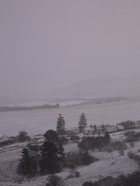 DSCN3310.JPG