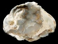 Hollow Moor Thundereggs