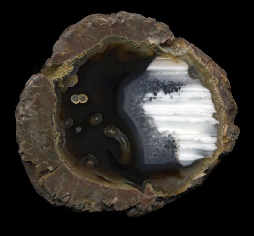 H2L Thunderegg